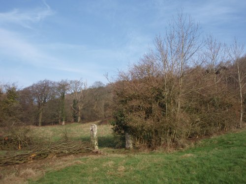 Beginning the Teaching Apiary.